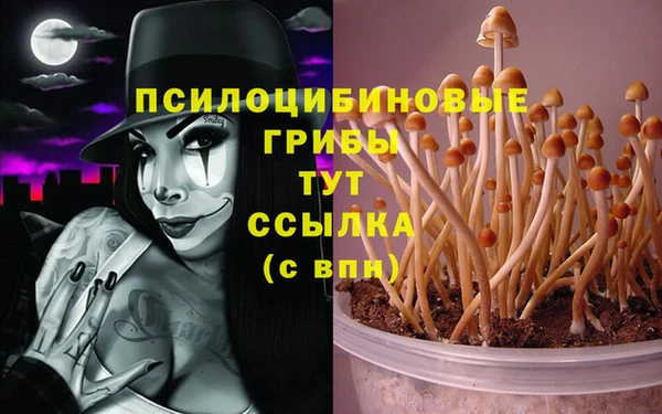 COCAINE Беломорск